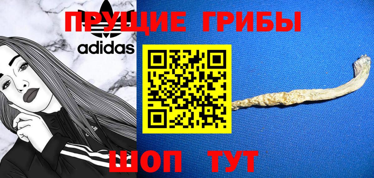 Галлюциногенные грибы Psilocybe Сарапул